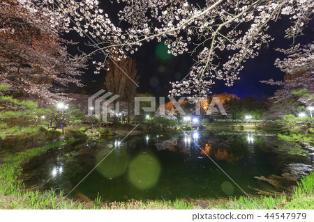 Gyeongsangbuk-do，韓國，慶州，Bomunjeong，夜景 44547979