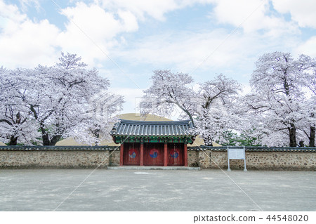 Gyeongsangbuk-do，韓國，慶州，Daehungwon 44548020