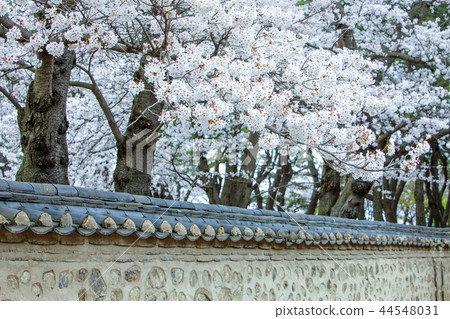 Gyeongsangbuk-do, Korea, Gyeongju, Daehungwon 44548031