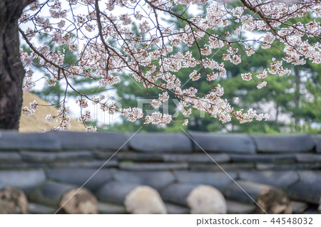 Gyeongsangbuk-do, Korea, Gyeongju, Daehungwon Gyeongsangbuk-do, Korea, Gyeongju, Daehungwon 44548032