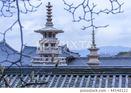 慶尚北道，韓國，慶州，佛國寺 44548122