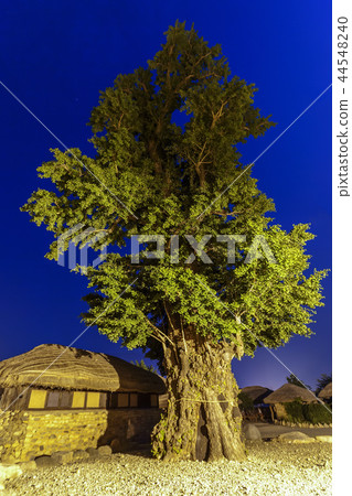 全羅南道，韓國，順天市，Nakan-eup城堡 44548240