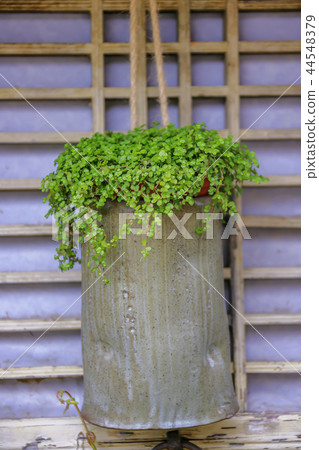 全羅南道，韓國，順天市，Nakan-eup城堡 44548379