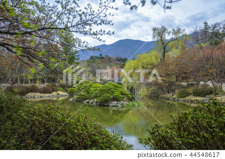 慶尚北道,韓國,慶州,佛國寺 慶尚北道,韓國,慶州,佛國寺 44548617