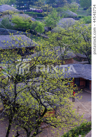 Jeollanam-do, Korea, Suncheon city, Nakan-eup castle 44548754
