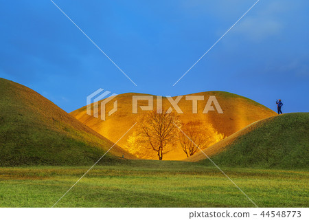 Gyeongsangbuk-do, Korea, Gyeongju, Daehungwon Gyeongsangbuk-do, Korea, Gyeongju, Daehungwon 44548773