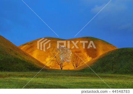 Gyeongsangbuk-do, Korea, Gyeongju, Daehungwon Gyeongsangbuk-do, Korea, Gyeongju, Daehungwon 44548783