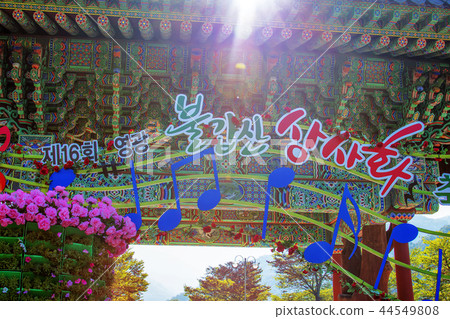 Jeollanam-do,韓國,Yeonggwang,Bongdong Jeollanam-do,韓國,Yeonggwang,Bongdong 44549808