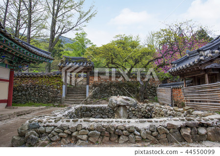 Jeollanam-do, Korea, Suncheon, Sun-am Jeollanam-do, Korea, Suncheon, Sun-am 44550099
