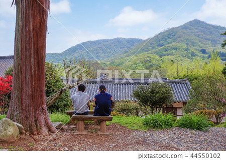 Jeollanam-do,韓國,Suncheon,Sun-am Jeollanam-do,韓國,Suncheon,Sun-am 44550102
