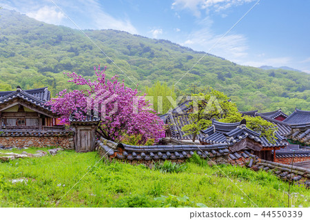 Jeollanam-do, Korea, Suncheon, Sun-am 44550339