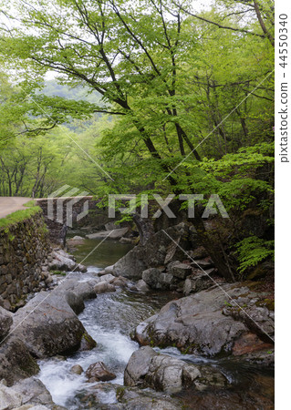 Jeollanam-do,韓國,Suncheon,Sun-am Jeollanam-do,韓國,Suncheon,Sun-am 44550340