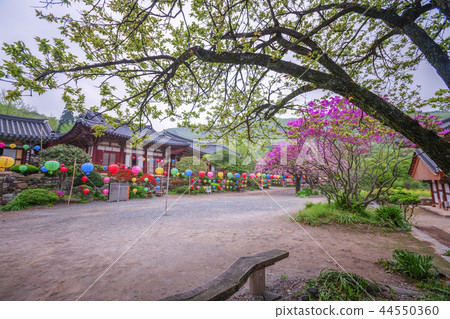 Jeollanam-do, Korea, Suncheon, Sun-am Jeollanam-do, Korea, Suncheon, Sun-am 44550360