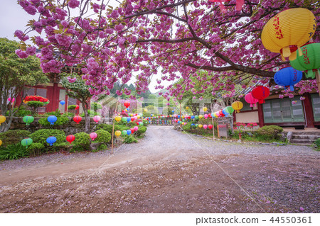 Jeollanam-do, Korea, Suncheon, Sun-am Jeollanam-do, Korea, Suncheon, Sun-am 44550361