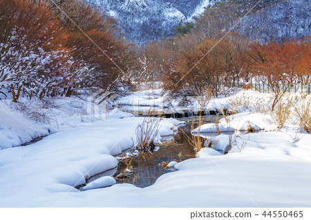 Gyeongsangbuk-do, Korea, Jeongeup, Busan 44550465