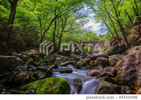 Jeollanam-do，韓國，Suncheon，Sun-am 44550496