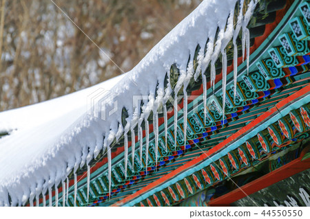 Gyeongsangbuk-do, Korea, Jeong-eup, 44550550