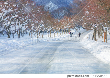 Gyeongsangbuk-do, Korea, Jeongeup, Busan 44550558