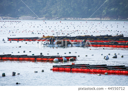 Jeollanam-do, Korea, Boulder, fishing village, farm Jeollanam-do, Korea, Boulder, fishing village, farm 44550712