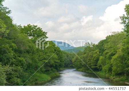 Ayukawa in the summer 44551737