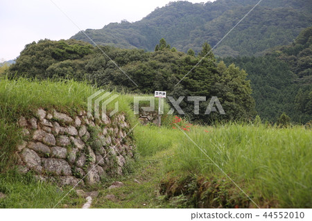 Ouchi Uta Remains Attached Kounji Temple 44552010