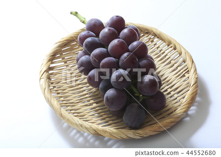 馬斯喀特《無籽葡萄》 馬斯喀特《無籽葡萄》 44552680