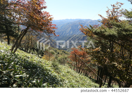 從Nikko Higetsu到Hemitsuki Observatory的山路上看到Ashio的方向 從Nikko Higetsu到Hemitsuki Observatory的山路上看到Ashio的方向 44552687