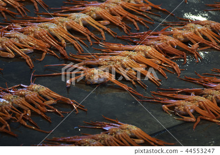 Bennigehai Crab Snow Crab Seri Market Fishery Crab Crab Marine Fishery Lots 44553247