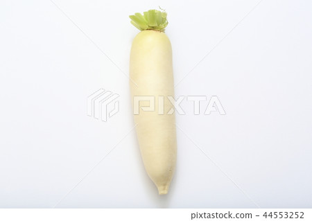 Japanese radish 44553252