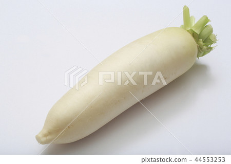 日本蘿蔔 日本蘿蔔 44553253