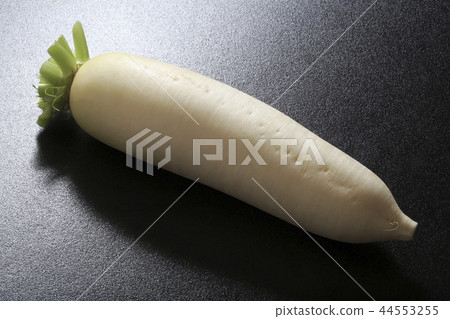 日本蘿蔔 44553255