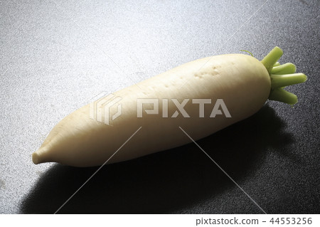 日本蘿蔔 44553256