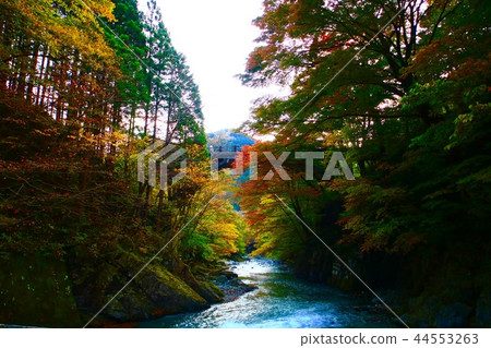 櫪木Oiso谷秋葉 44553263