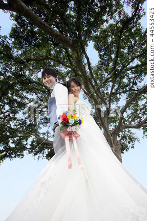 婚姻度假婚禮 44553425
