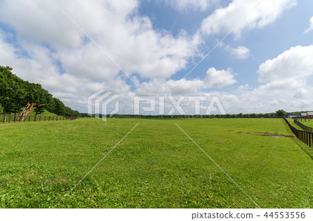 Ranch landscape Ranch landscape 44553556