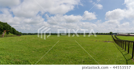 Ranch landscape Ranch landscape 44553557