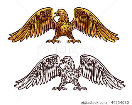 Eagle or hawk golden icon, vector sketch Eagle or hawk golden icon, vector sketch 44554080
