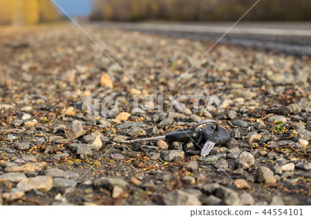 A bunch of keys lying on the side of the road A bunch of keys lying on the side of the road 44554101