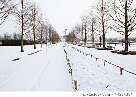 冬天,雪雪,雪風景,雪風景,冬天風景 冬天,雪雪,雪風景,雪風景,冬天風景 44554394