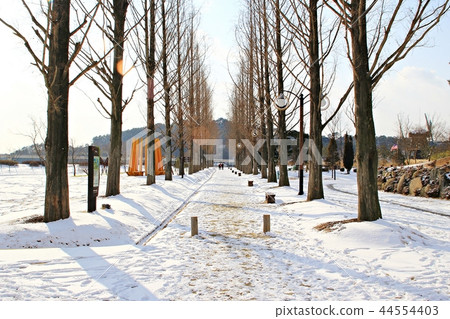 冬天,雪雪,雪風景,雪風景,冬天風景 冬天,雪雪,雪風景,雪風景,冬天風景 44554403