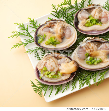 大蛤蜊 大蛤蜊 44554892