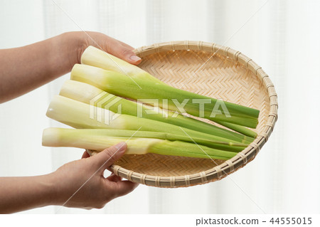 Makomodake Makomodake 44555015