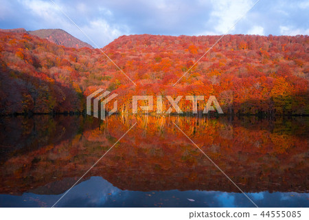 Iinouma Iinouma 44555085