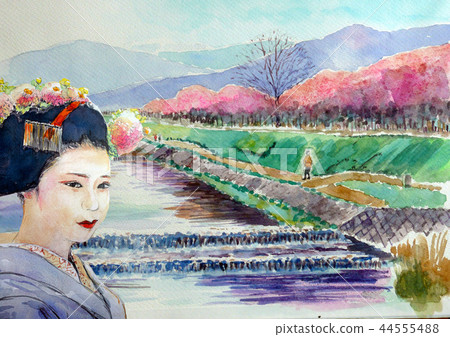 Kamogawa和Maiko Kyoto觀光Spring Kamogawa Higashiyama Kamogawa和Maiko Kyoto觀光Spring Kamogawa Higashiyama 44555488