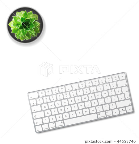 Computer keyboard and succulent flower isolated 44555740