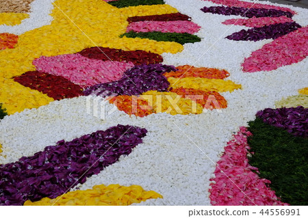 Zenkoji Flower Corridor 2018 44556991