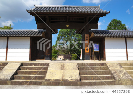 奈良大安寺 44557298