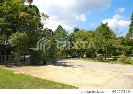 奈良大安寺 奈良大安寺 44557299