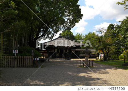 奈良大安寺 44557300