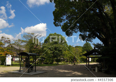 奈良大安寺 44557306